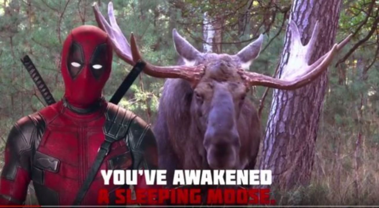Deadpool is furious Canada wasn’t invited to Eurovision