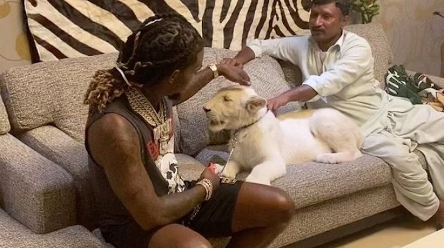 Offset Leaps Away From Lion Cub After Animal Growls at Him