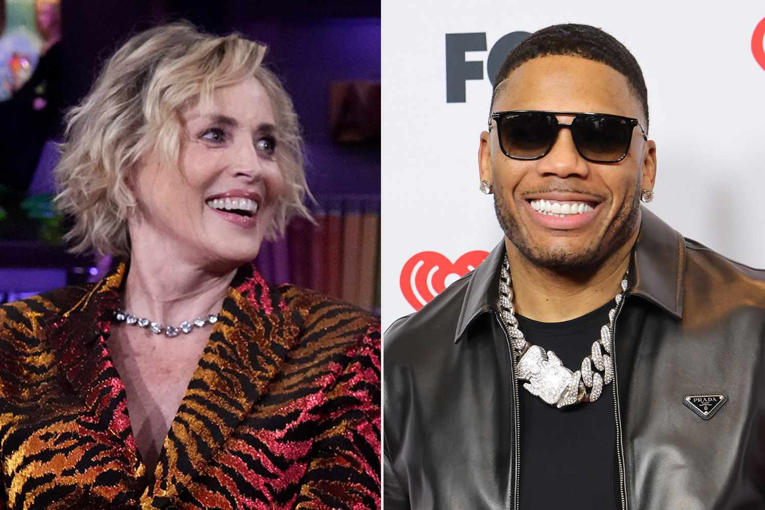 “Basic Instinct” Actress Sharon Stone Reveals She Once Went on a Date with Nelly