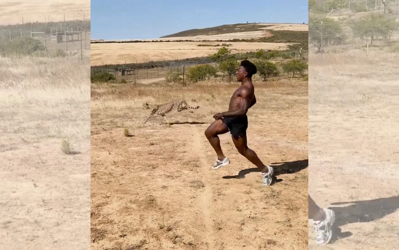 IShowSpeed Challenges Cheetah To Sprint Race In South Africa