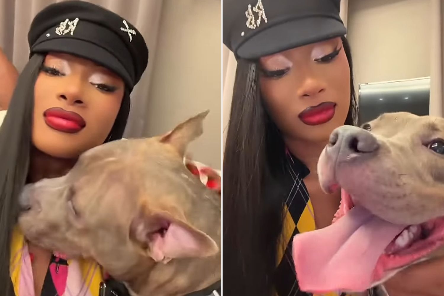 Megan Thee Stallion Adopts Rescue Dog Tyger & Partners With Rescue Organizations