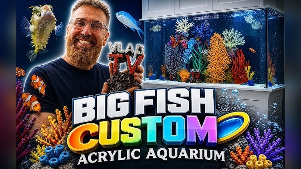 DJ Vlad Gets 300 Gallon Aquarium from Big Fish Custom Acrylic Aquariums